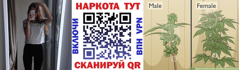 Купить наркотики Гремячинск Кодеин  МЕТАДОН  OMG рабочий сайт  СК  Гашиш  Меф мяу мяу 