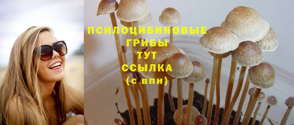 прущие грибы Богородицк