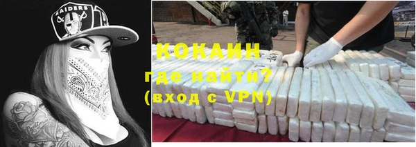 прущие грибы Богородицк
