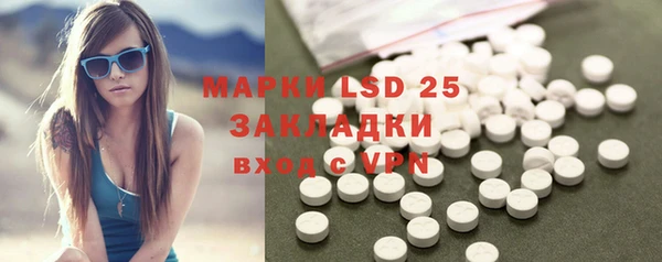 прущие грибы Богородицк