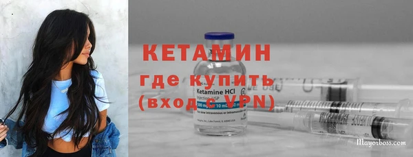 прущие грибы Богородицк