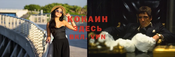 прущая мука Бородино