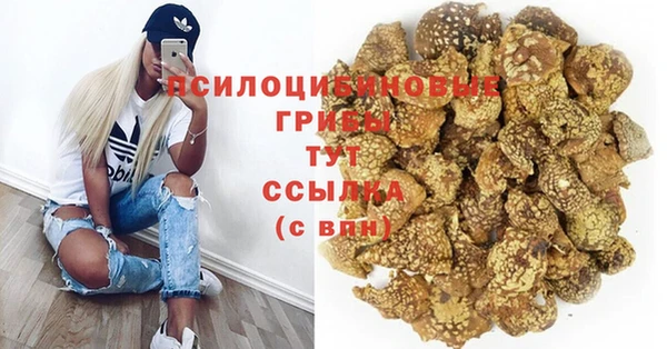 стафф Бронницы