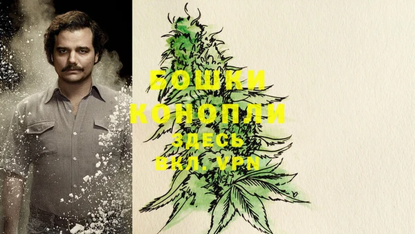 прущие грибы Богородицк