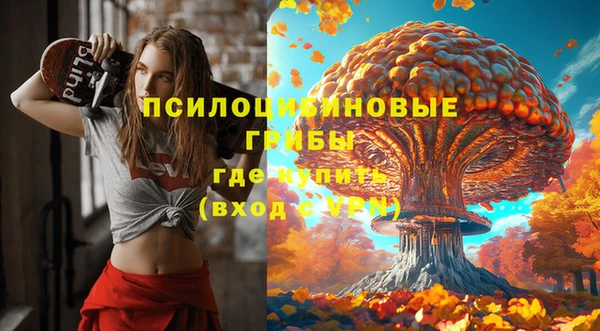 скорость Богданович