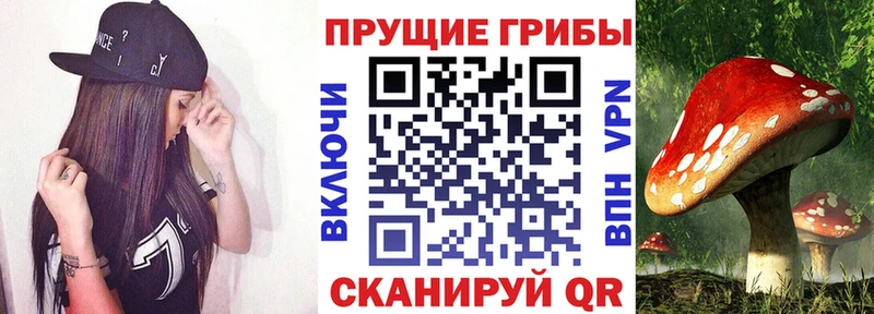 Галлюциногенные грибы Cubensis  даркнет сайт  Гремячинск 